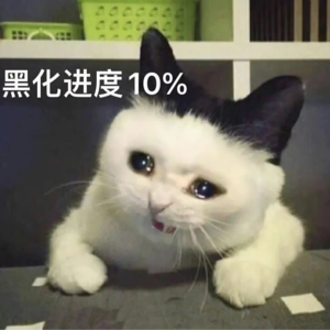 Vol.24 海龟汤来袭,荒诞又离奇