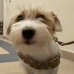 贾思敏一点也不mean