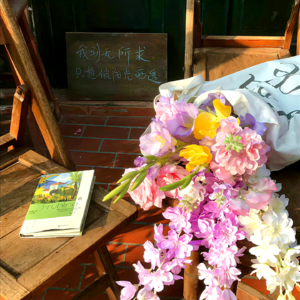 VOL546.文人电影《小城之春》∶图像学视野中的江南生活，弥漫着古典主义的东方美学。