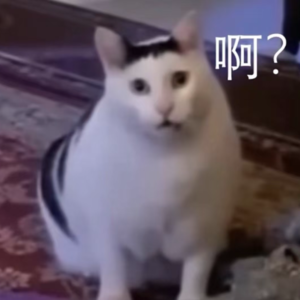 vol.291 啊？啊这？啊这对么？