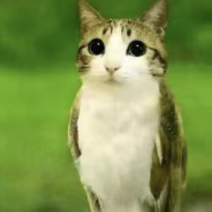 午松
