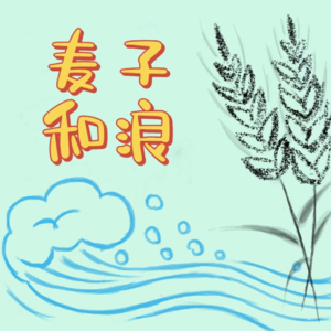 大学的最迷茫的那一年