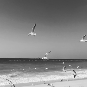 EP 60｜孤独终老也许没你想得那么坏