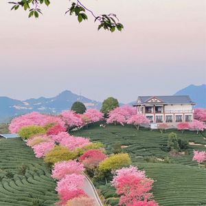 从学医到学新闻，从副镇长到读书郎，主打一个气死张雪峰｜找人聊聊002