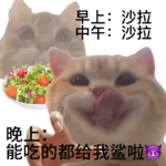 27-恭喜我！成功从104涨到了124斤！