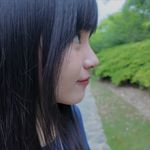 战场原菲林