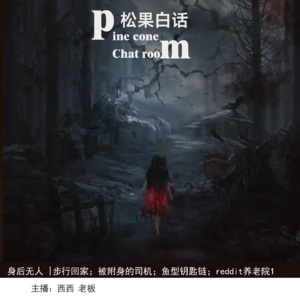 41.身后无人|步行回家；被附身的司机；小鱼钥匙链；reddit神秘的养老院1