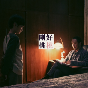 vol.9 影评《年少日记》｜一个悲剧的开始是当小孩开始说对不起