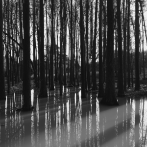 幸好死并不是一件难事【六根不净】Vol. 103