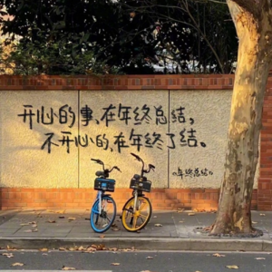 #190 年终讲 2025:FIRE 慎行|狗屁工作|朋友「断舍离」|一定要睡好