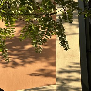 podcaster-avatar