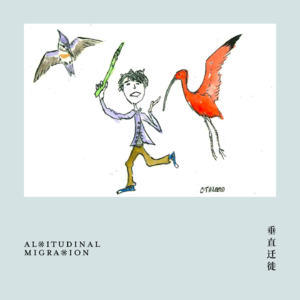 随便聊点鸟｜叉尾王霸鹟 & 一次偶遇