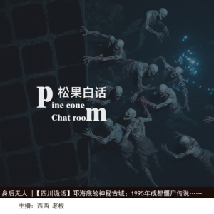 61.身后无人|【四川诡话】邛海底的迷城；1995年成都僵尸传说；红宝石大厦里