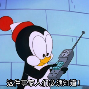 vol.22 2024年度总结（拖了好久版）