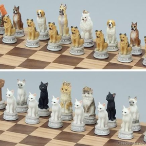 如果我是特朗普