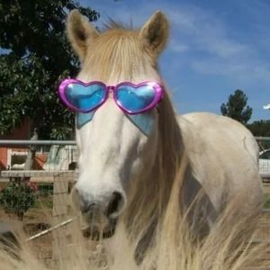 podcaster-avatar