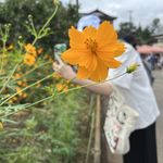 胡中玥