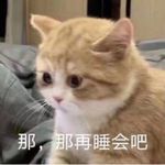 支棱小熊猫