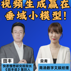 第384集 视频生成赢在垂域小模型！