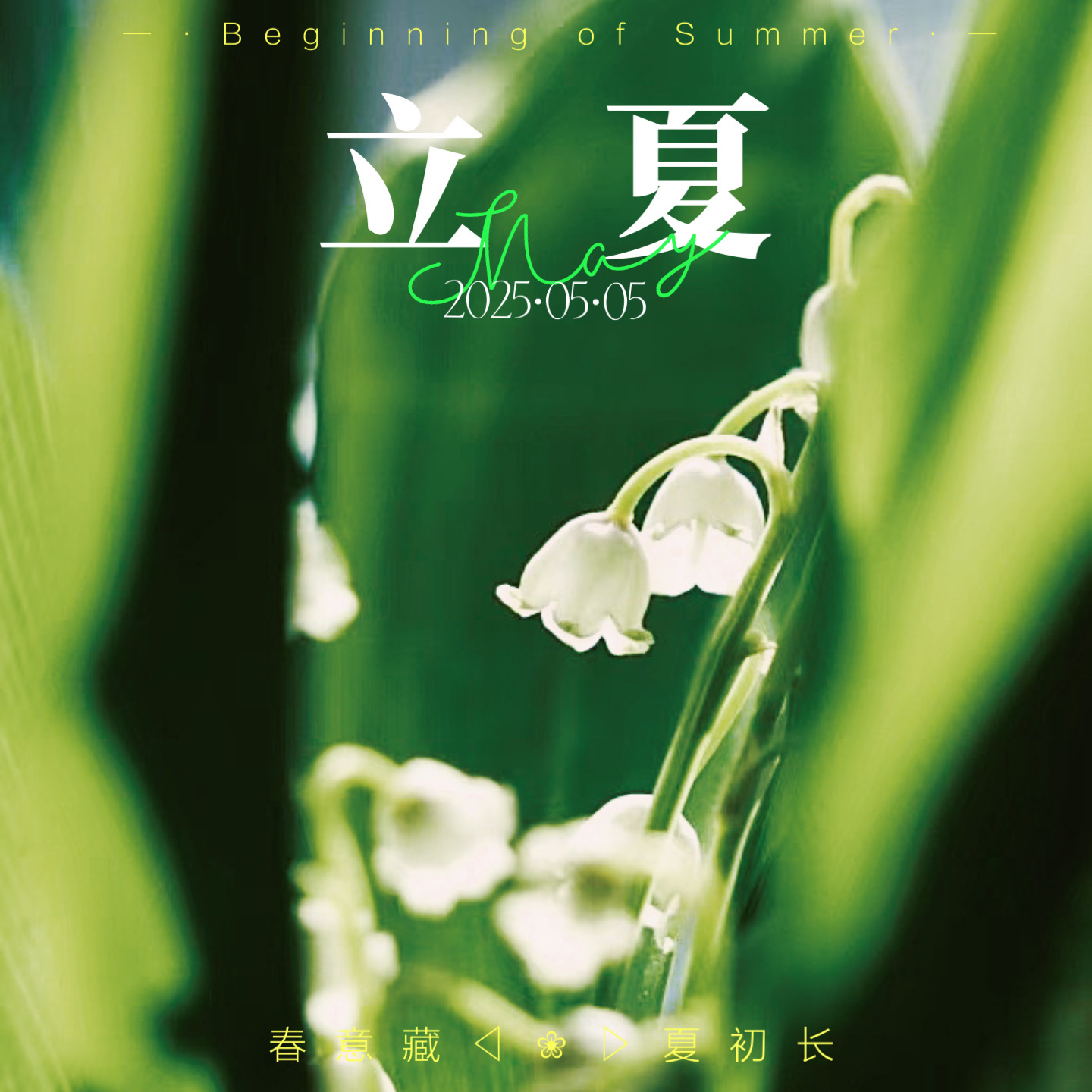 Vol.07 春意藏，夏初长，愿这个夏天闪闪发光｜夏天FM episode artwork