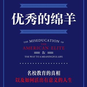 《优秀的绵羊》：大厂牛马的这些“特质”你踩中了吗？