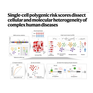 298-单细胞多基因风险评分揭示复杂疾病细胞异质性