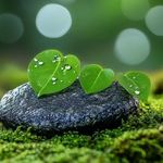 阳光心理