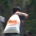 橙子成功记