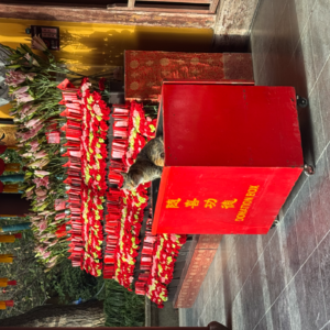 53初五迎财神、外滩暴走、以及我终于爱上了白天