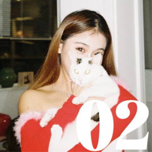 02. 我们都是狐狸： 放弃成为一个抓取的人，成为一个给予的人