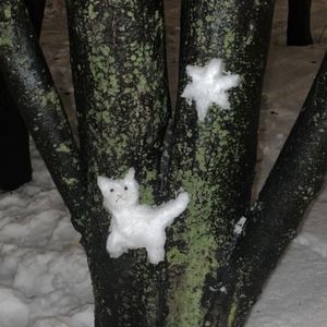 podcaster-avatar