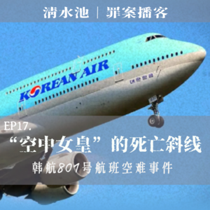 E17.“空中女皇”的死亡斜线:大韩航空801号空难事件