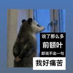 我们说了这么多前额叶，却说不出“我很痛苦”这四个字
