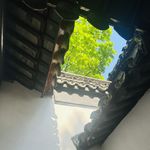 哦l哦