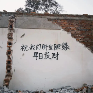 Vol 8.用复杂理解混沌，有关AI泡沫和宏观约束下的新时代