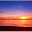 青岛东绚威固旗舰店刘秀