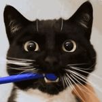 了不起的基围虾