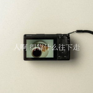 31.人啊,得靠什么往下走呢