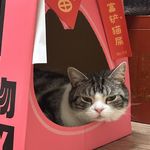 罗嘻嘻_aDys