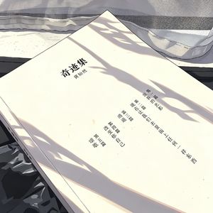 057声音日记二十二：“既然这样，那就这样“