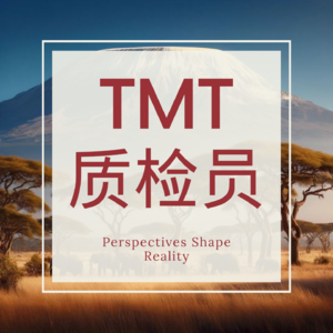 TMT质检员
