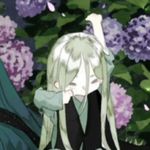 南一Nova