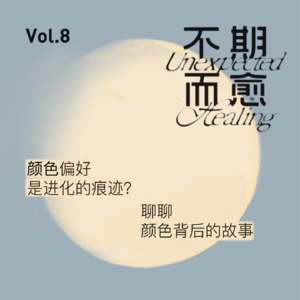Vol.8 | 色彩偏好是进化的痕迹？聊聊颜色背后的故事