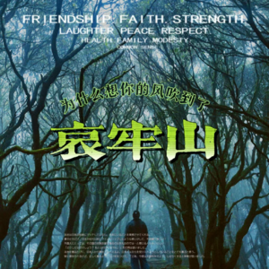 为什么想你的风吹到了哀牢山