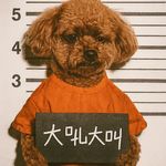 叽里呱啦小魔仙