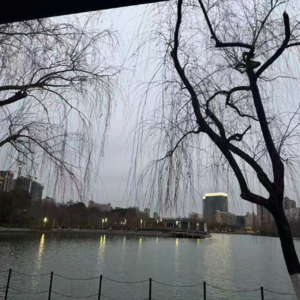 48什么时候会获得幸福和平静？我为什么不幸福?为什么幸福的不是我?