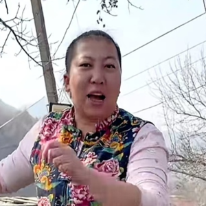 “东北雨姐”，极速坠落