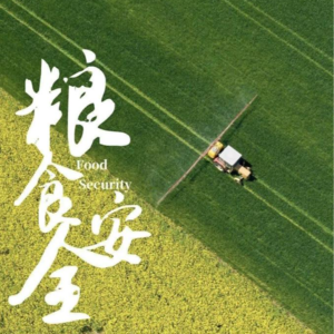 本世纪的中国粮食安全现状