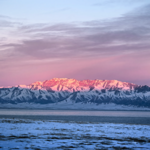 Vol.116 相亲受挫、工作窝火、说走就走｜我们都在努力生活