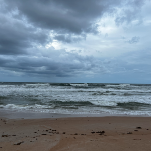 EP005 原生家庭的影响